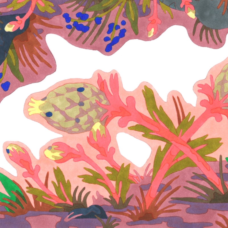http://camillegobourg.fr/files/gimgs/th-81_PAPERTOY_FLEURS_insta5-site_v2.jpg
